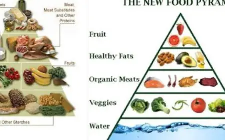 India’s New Food Pyramid Is Vertical: Protein Bars, Vitamin Drinks, AI-Planned Plates