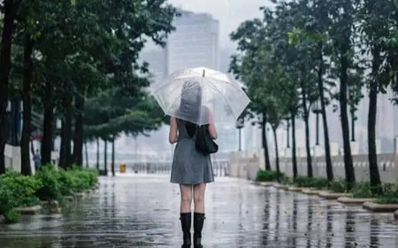 July’s Hottest New Launches Are Here!