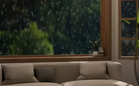 Curating A Monsoon-Specific Home Interior: Expert Tips For A Cozy, Elegant Season