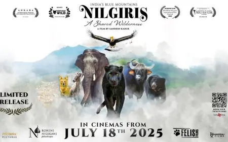 ‘Nilgiris: A Shared Wilderness’ Wildlife Documentary Film to Release in Theatres Nationwide