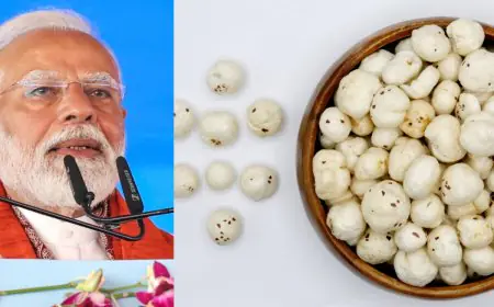 Nearly 3 in 5 Indians Choose Makhanas As Their Go-To Healthy Snack, Reveals Report