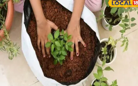 Here's How You Can Grow Ridge Gourd, Bottle Gourd & Bitter Gourd At Home This Monsoon