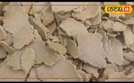 Skip Urea And Potash, Add 5Kg Of This Natural Feed To Double Paddy Growth