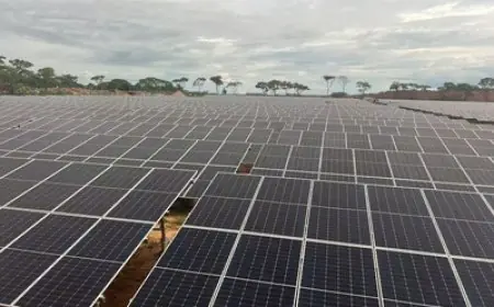 SANY Scales Up Green Energy Footprint in Africa with Breakthrough Solar Projects