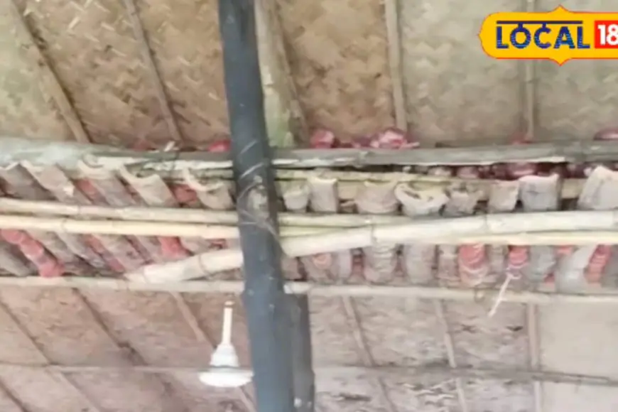 No Cost, No Extra Space! This Desi Jugaad Keeps Potatoes & Onions Safe In Rainy Season