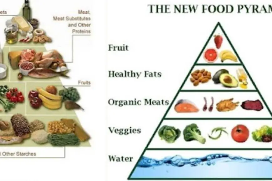 India’s New Food Pyramid Is Vertical: Protein Bars, Vitamin Drinks, AI-Planned Plates