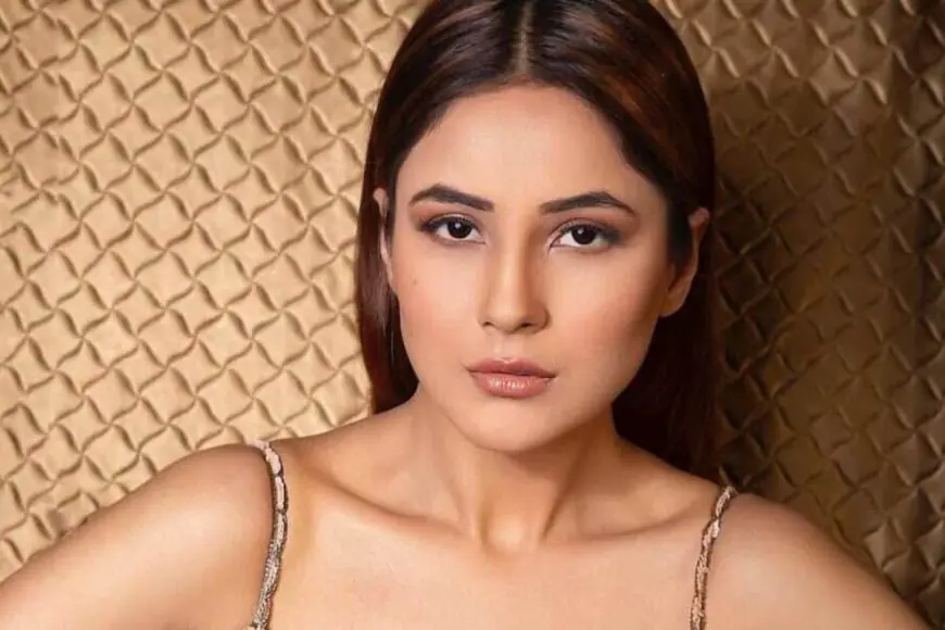 Shehnaaz Gill’s 12-Kg Weight Loss: How She Transformed Her Body Without Diet Fads or Intense Workouts