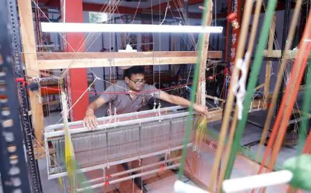 Taneira Champions Authenticity and Heritage with GI-tagged Offerings this National Handloom Day