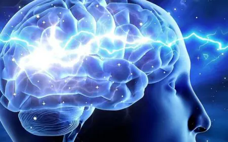 7 Science-Backed Habits To Sharpen Your Memory And Enhance Retention