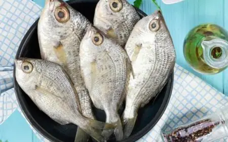 Cheap, Nutritious And Delicious: Best Fish To Lower Your Cholesterol