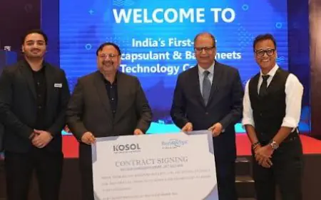 RenewSys Signs 700 MW POE Encapsulant Agreement with Kosol Energie