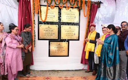 Himachal's First Eco-Friendly and Zero-Waste State-Level Tribal Festival 2025 Marks Historic Success in Keylong