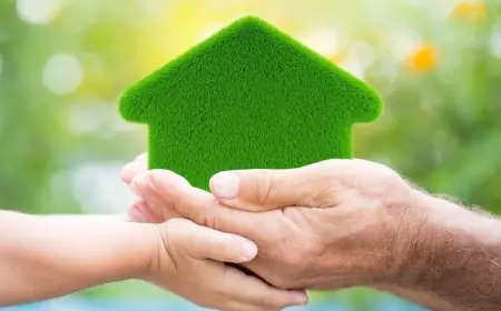 Tips And Tricks To Transform Your Home Into A Nature Retreat