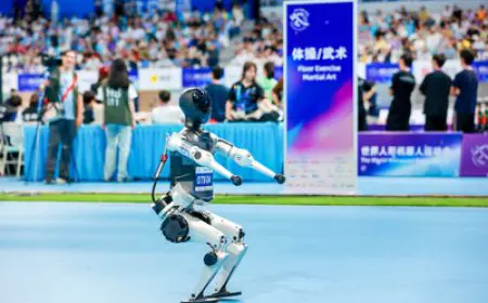 Noetix Robotics Wins Two Golds and One Silver at Global Humanoid Robotics Games