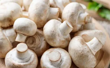 Don’t Buy Mushrooms, Know How To Grow Them At Home: A Simple Guide For Beginners