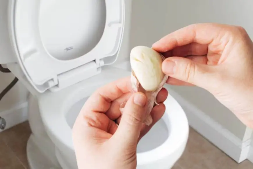 Here’s What Happens When You Leave A Clove Of Garlic On The Toilet Seat Overnight