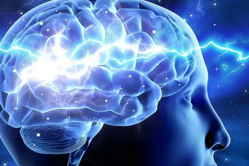 7 Science-Backed Habits To Sharpen Your Memory And Enhance Retention