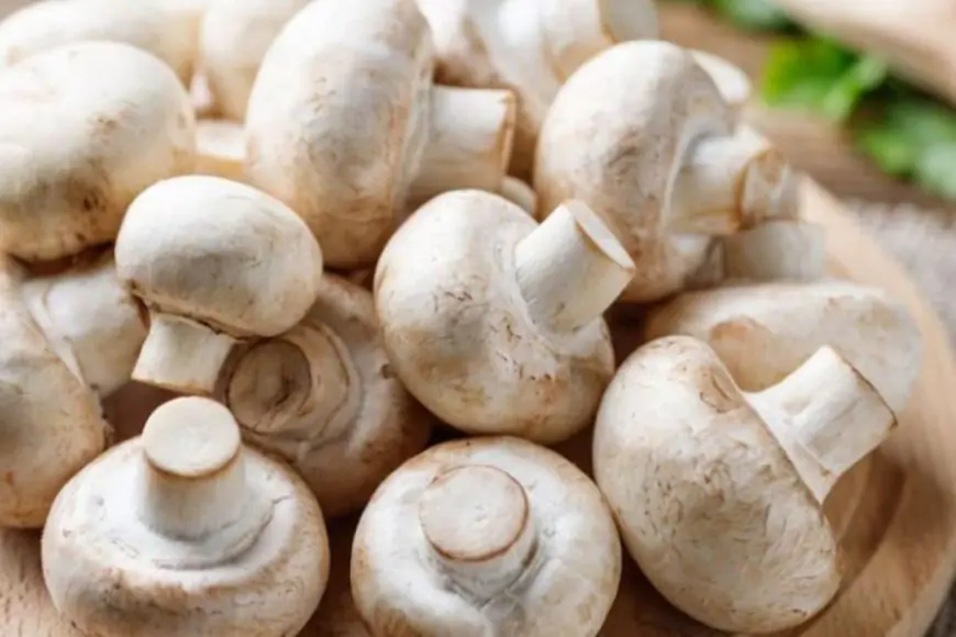 Don’t Buy Mushrooms, Know How To Grow Them At Home: A Simple Guide For Beginners
