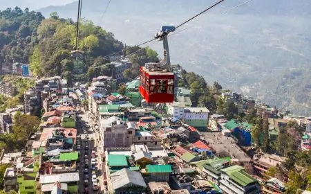 Mawlynnong To Munnar: 5 Green Destinations For Travellers To Explore