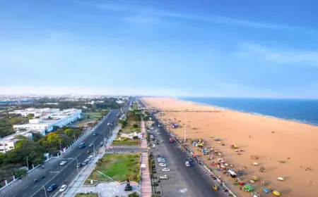 Inside Chennai’s New Dining Wave: Nostalgia Meets Innovation