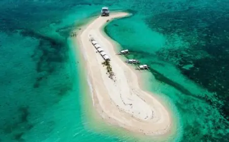 Asia's largest sustainable gastronomy event launches in November 2025 - Philippines to host the first-ever Terra Madre Asia & Pacific