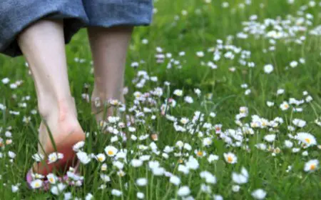 What Is Slow Living? The Trending Lifestyle That Brings Balance Back