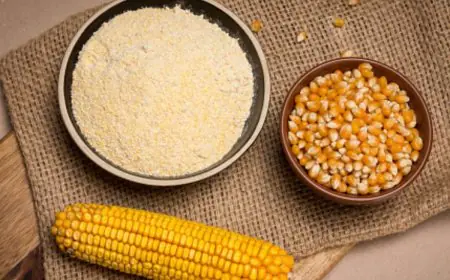 Is Cornflour Really Healthy? Hidden Side Effects You Should Know Before Eating