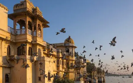Udaipur: The City of Lakes And Its Best Lakeside Stays