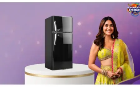 Refrigerators That Fit Every Budget and Festive Need