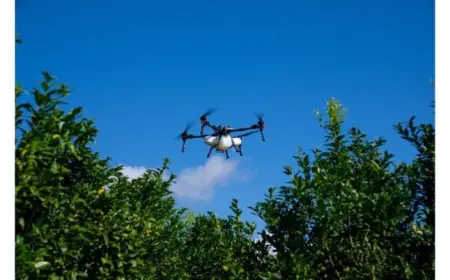 XAG Drones Give Brazilian Farmers the Edge Amid Unpredictable Weather