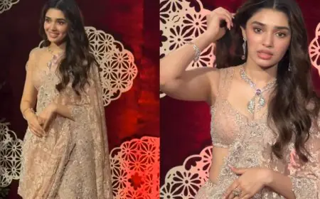 Krithi Shetty Oozes Glam In Gold Saree, Her Statement Necklace Steals The Show