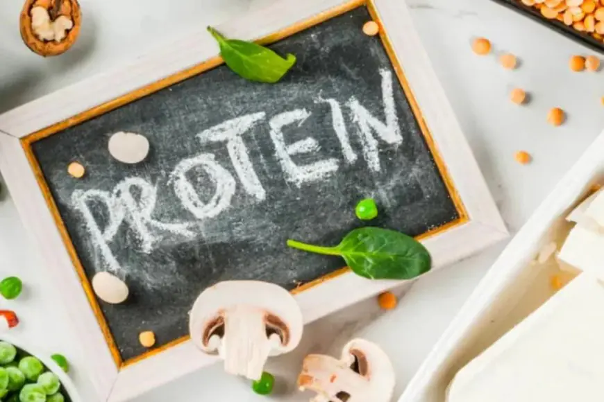 Balancing Protein Intake: How Much Is Too Much Or Too Little?