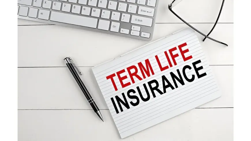 Term Insurance Guide: All You Need to Know About This Simple but Essential Plan