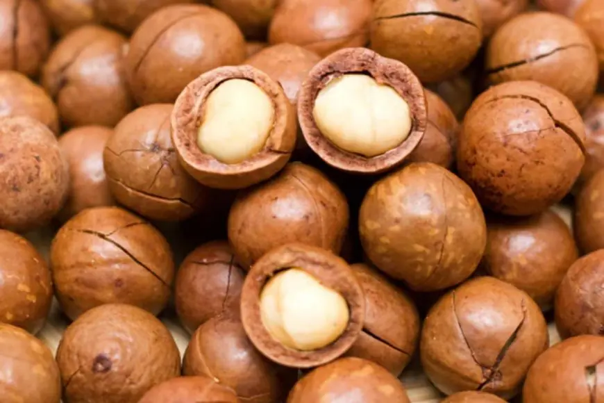 Festive Recipes With Macadamias From Chef Amrita Raichand