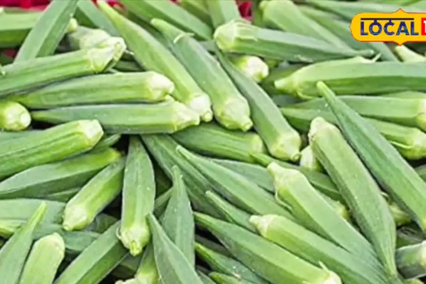 People With These 5 Health Conditions Should Avoid Ladyfinger. Here's Why