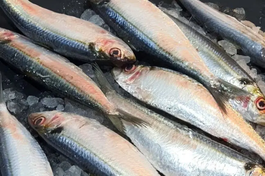 Love Eating Fish? Try These 5 Boneless Varieties That Are Perfect For Children Too