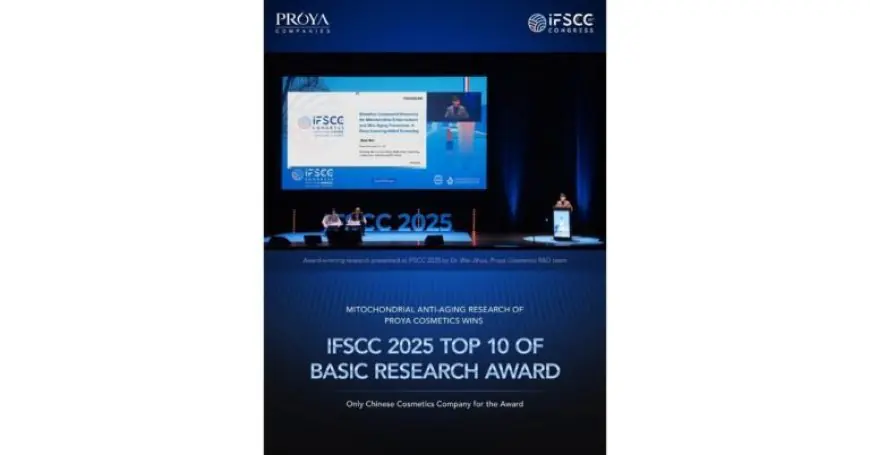 Taiwan’s New Media Art to Illuminate Two Major European Stages — Peppercorns Interactive Media Art at Signal Festival (Czech Republic) and RADAR Festival (Romania) this October