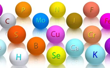 Magnesium-Rich Drinks To Naturally Boost Your Hydration And Energy