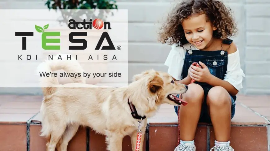 Action TESA leads the transition from plywood to engineered wood solutions, with innovations like Moist Master, HDHMR, and BOILO powering the change