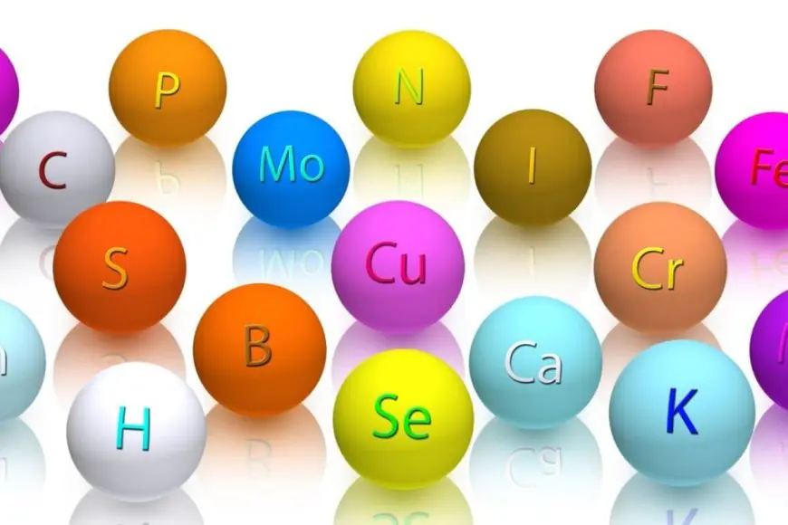 Magnesium-Rich Drinks To Naturally Boost Your Hydration And Energy