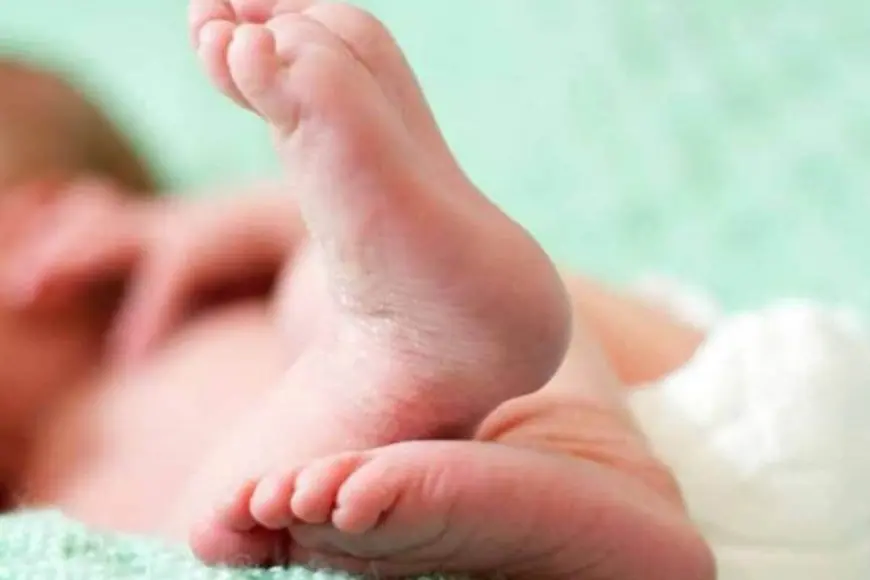 Seasonal Shifts, Gentle Care: Protecting Your Baby’s Skin Through Weather Changes