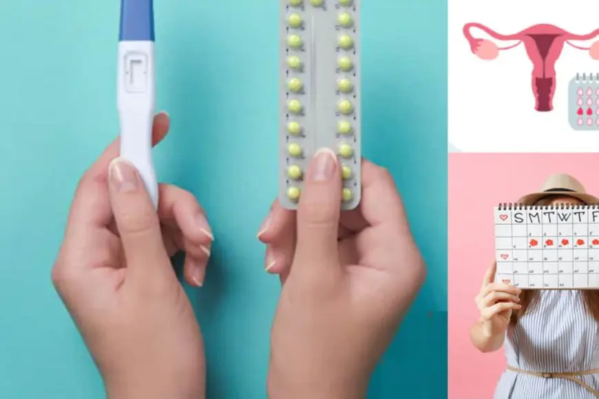 When Is The Risk Of Pregnancy Lowest After Your Period? Doctors Say...