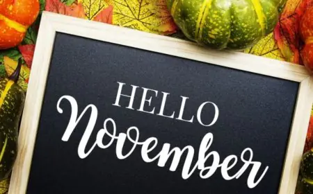 What’s On This November 2025: The Best Events, Exhibitions And Experiences Across India