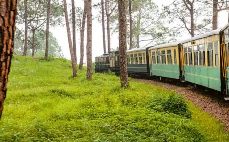 Matheran Toy Train Resumes Journey: Here’s How To Book Tickets And Prices