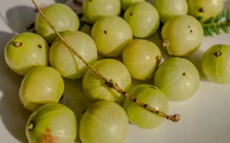 Why Eating Amla Every Day Could Be The Simplest Health Boost You Need This Winter
