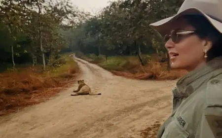 Kangana Ranaut’s Gir Safari Has Everyone Dreaming Of Gujarat: Guide To Plan Your Visit