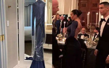 Cristiano Ronaldo’s Fiancee Georgina Rodríguez Recreates Hilary Swank’s 2005 Oscar Look At White House Dinner