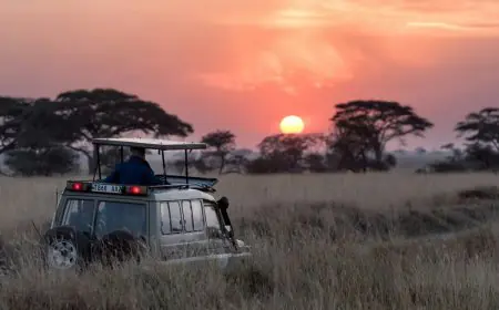 More Than Safaris, South Africa Has Become A Destination For Conscious Indian Explorers