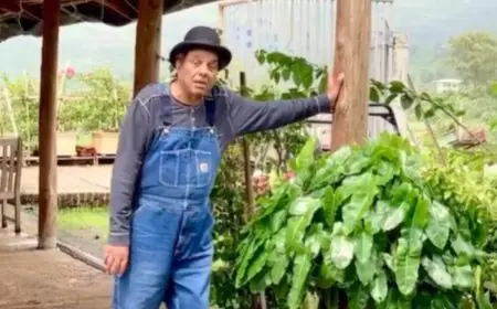 Inside Dharmendra’s 100-Acre Lonavala Retreat: A Look At His Earthy Luxury Haven