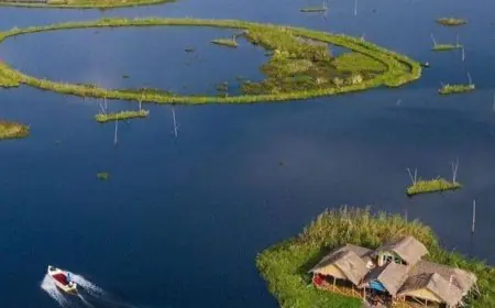 This Is The Only Floating National Park In The World – Located In India